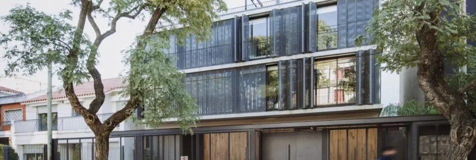 Kite Malvín | Prenova